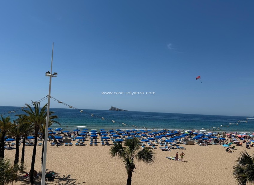Reventa - Apartamento / piso - Benidorm - Costa Blanca
