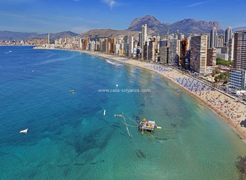 Reventa - Apartamento / piso - Benidorm - Costa Blanca