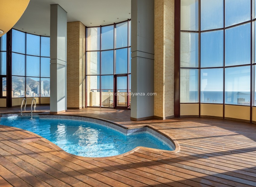 Reventa - Apartamento / piso - Benidorm - Costa Blanca