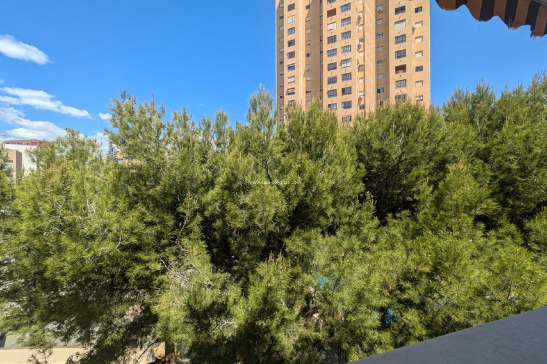 Reventa - Apartamento / piso - Benidorm - Costa Blanca