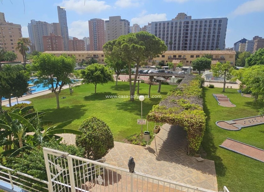 Reventa - Apartamento / piso - Benidorm