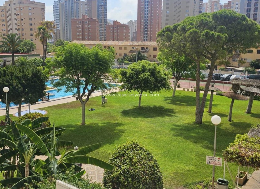 Reventa - Apartamento / piso - Benidorm