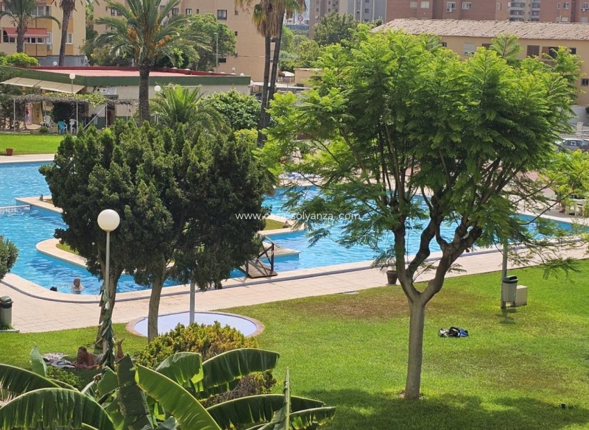 Reventa - Apartamento / piso - Benidorm