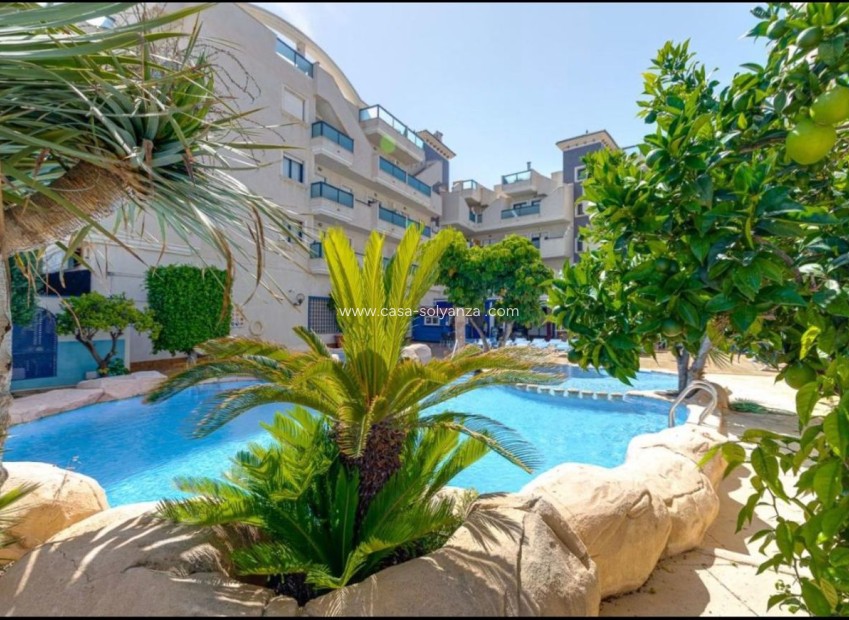 Reventa - Apartamento / piso - Cabo Roig
