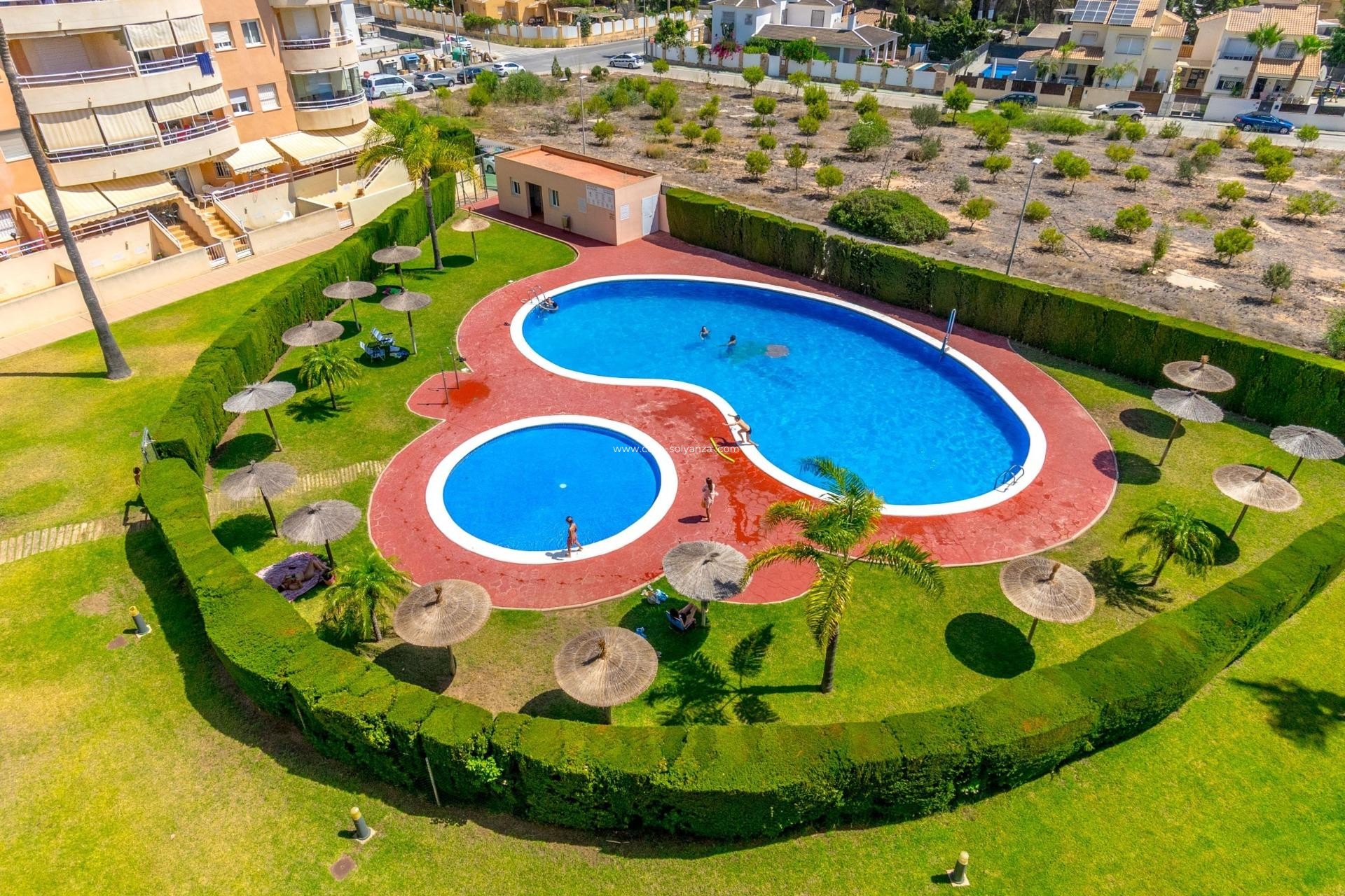Reventa - Apartamento / piso - Dehesa de campoamor - Campoamor