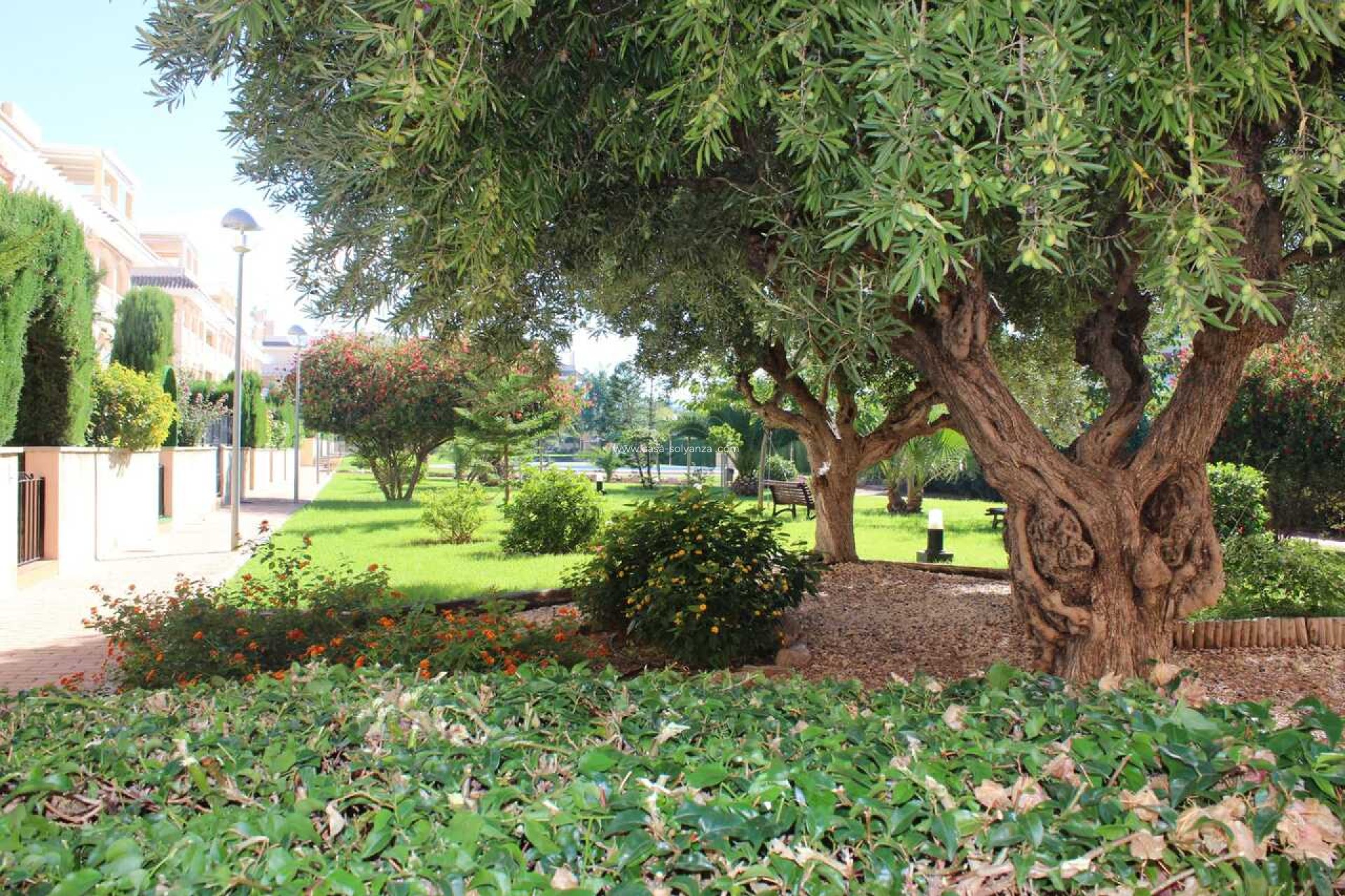 Reventa - Apartamento / piso - Denia - Costa Blanca