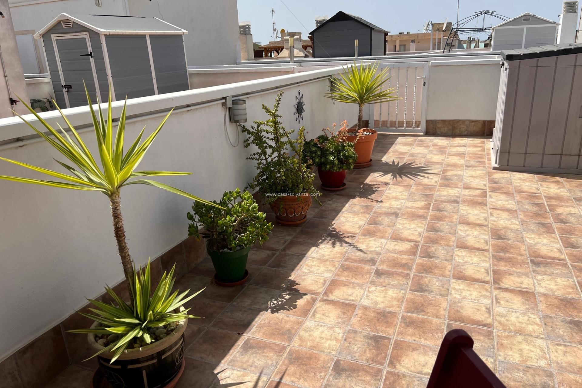 Reventa - Apartamento / piso - Dolores - Comunidad Valenciana