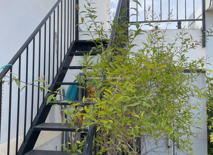 Reventa - Apartamento / piso - Guardamar del Segura - 0