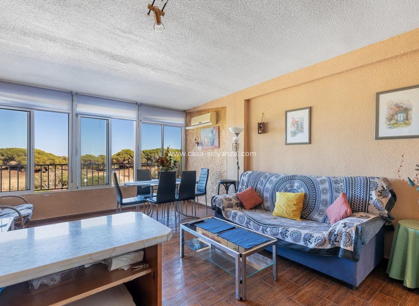 Reventa - Apartamento / piso - Guardamar del Segura - Costa Blanca