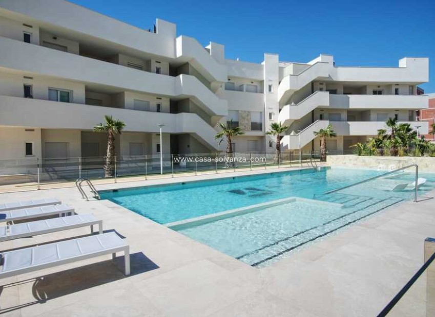 Reventa - Apartamento / piso - Guardamar del Segura - Costa Blanca