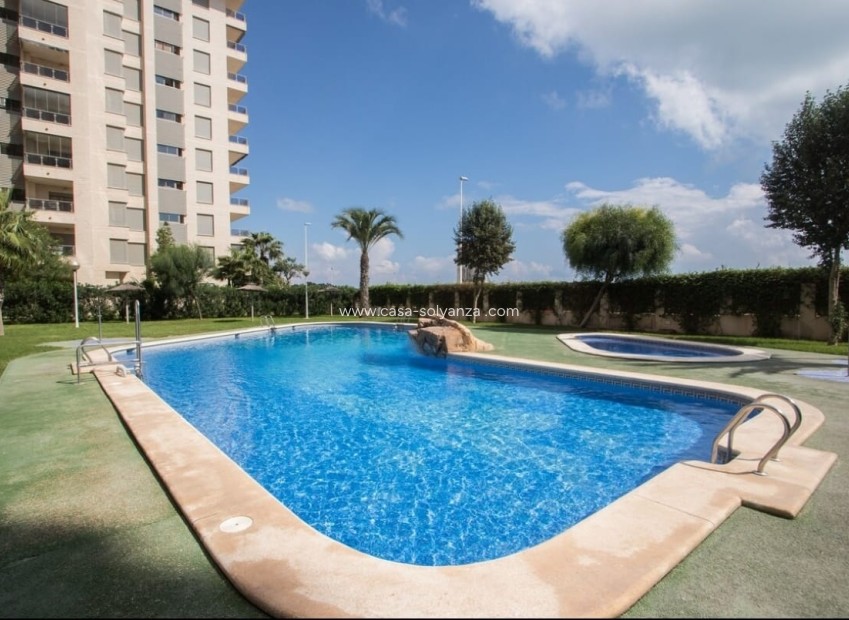 Reventa - Apartamento / piso - Guardamar del Segura - Costa Blanca