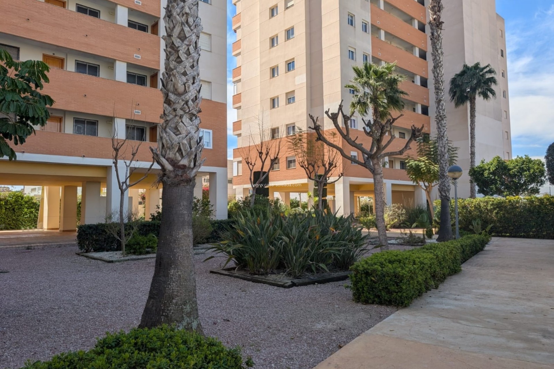 Reventa - Apartamento / piso - Guardamar del Segura - Costa Blanca