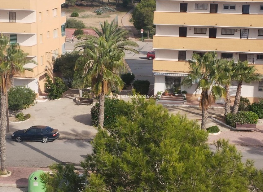 Reventa - Apartamento / piso - Guardamar del Segura - Pinomar