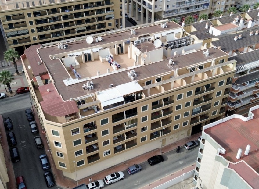 Reventa - Apartamento / piso - Guardamar del Segura