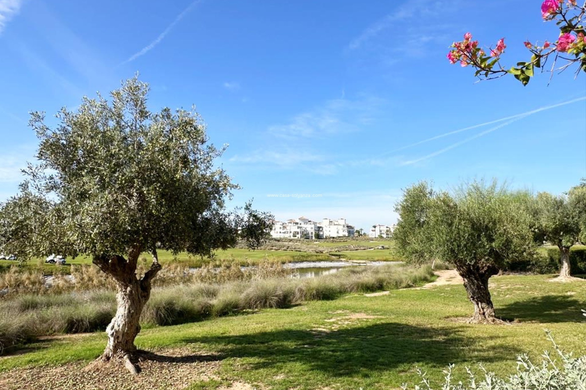 Reventa - Apartamento / piso - Hacienda Riquelme Golf Resort - Inland