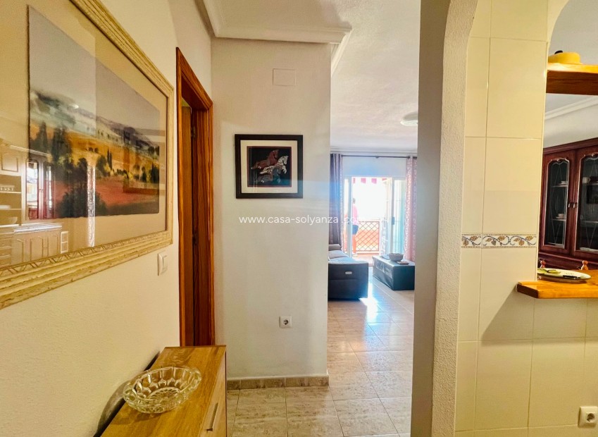 Reventa - Apartamento / piso - La Mata - Costa Blanca