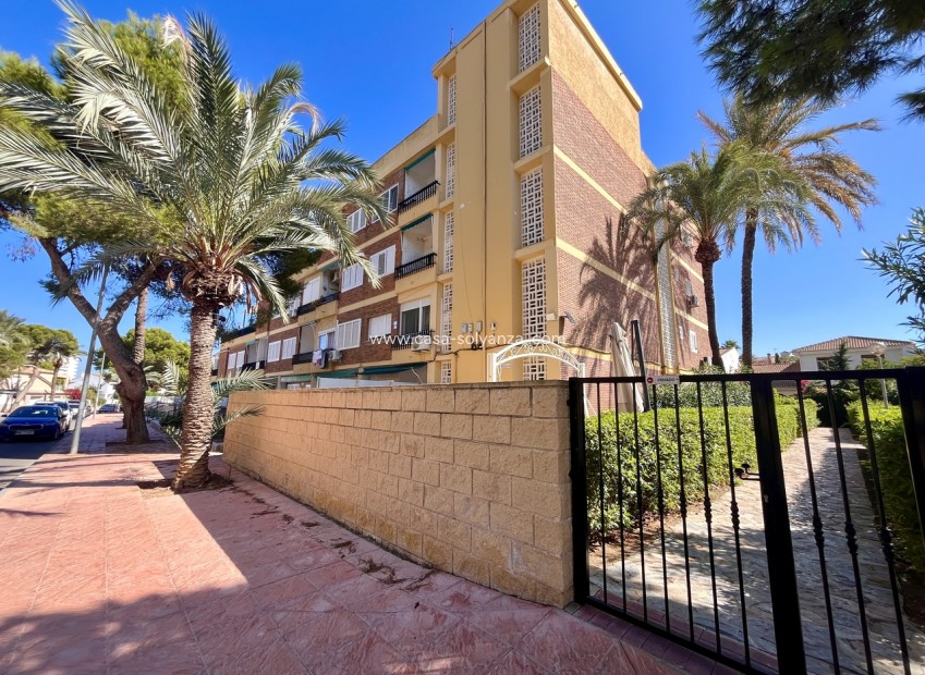 Reventa - Apartamento / piso - La Zenia - Costa Blanca