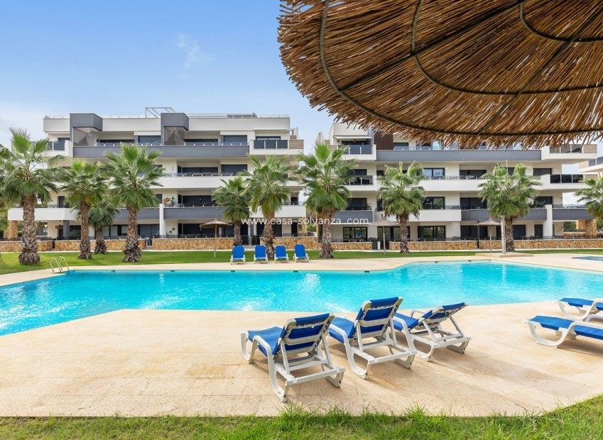 Reventa - Apartamento / piso - Los Altos - AMANECER