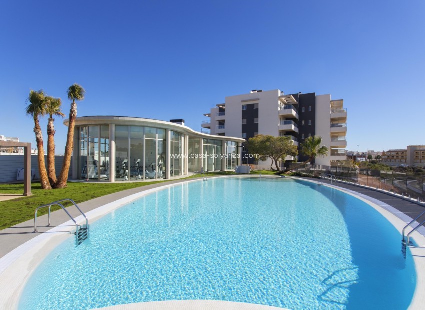 Reventa - Apartamento / piso - Los Dolses - Villamartin