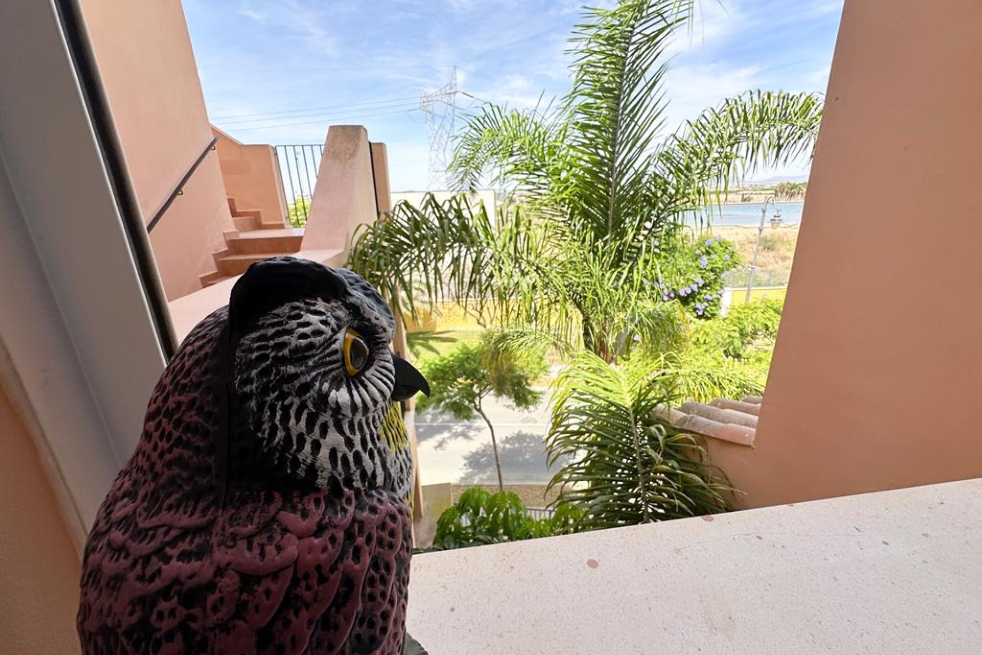 Reventa - Apartamento / piso - Mar Menor Golf - Inland