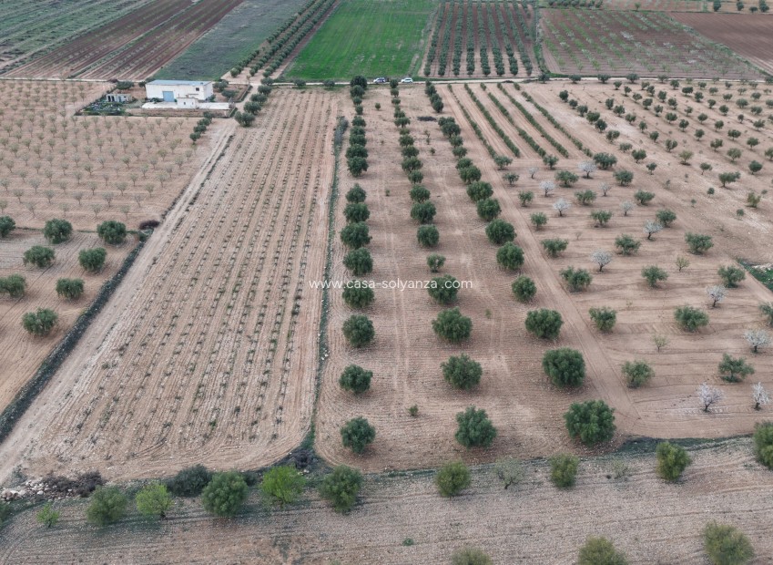 Reventa - Apartamento / piso - Murcia