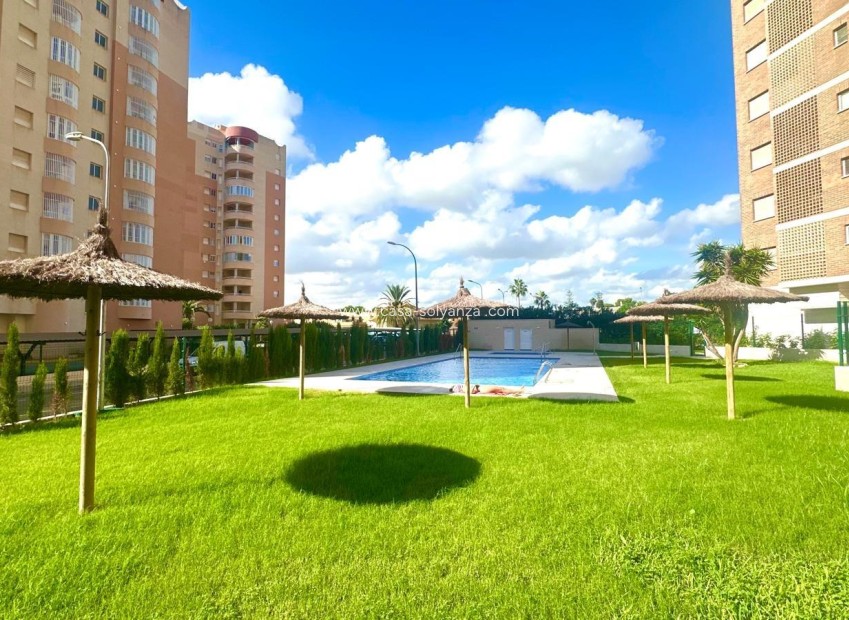Reventa - Apartamento / piso - Orihuela Costa - Campoamor