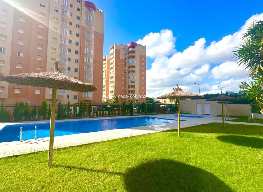 Reventa - Apartamento / piso - Orihuela Costa - Campoamor