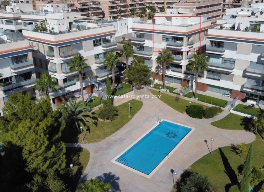 Reventa - Apartamento / piso - Orihuela Costa - Costa Blanca