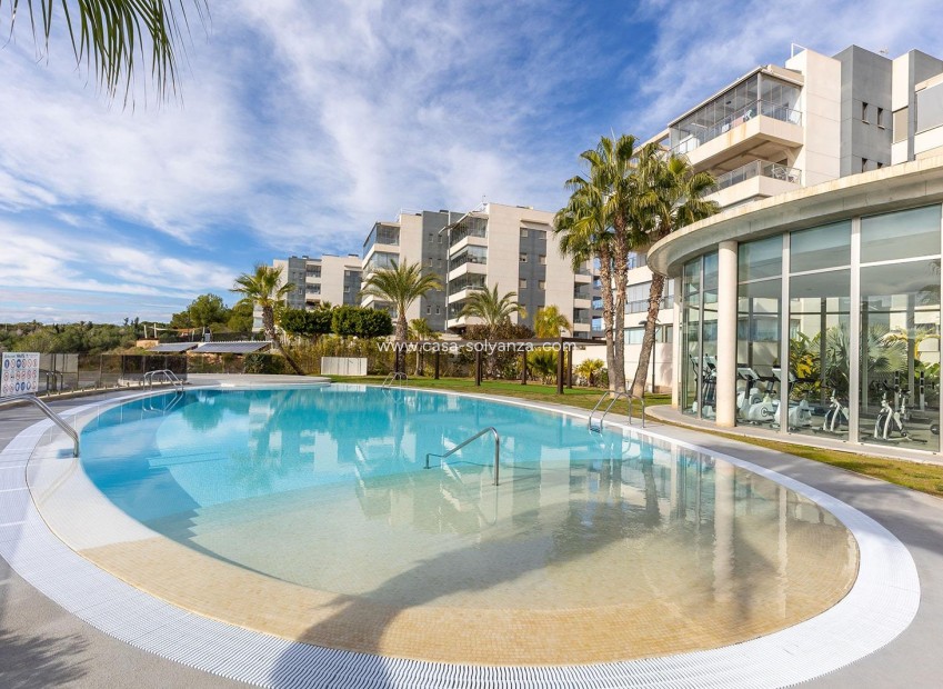 Reventa - Apartamento / piso - Orihuela Costa - Costa Blanca