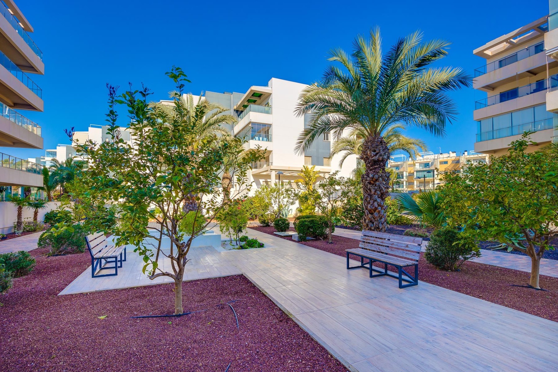 Reventa - Apartamento / piso - Orihuela Costa - Costa Blanca