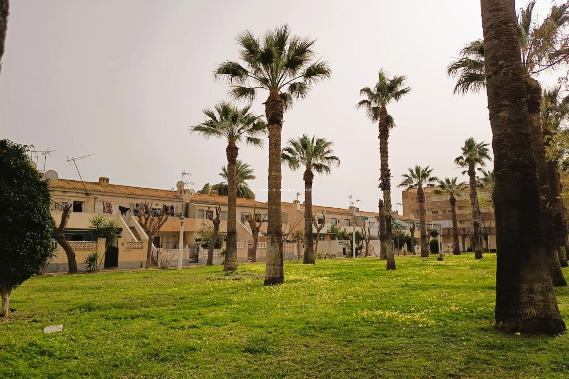 Reventa - Apartamento / piso - Orihuela Costa - Costa Blanca