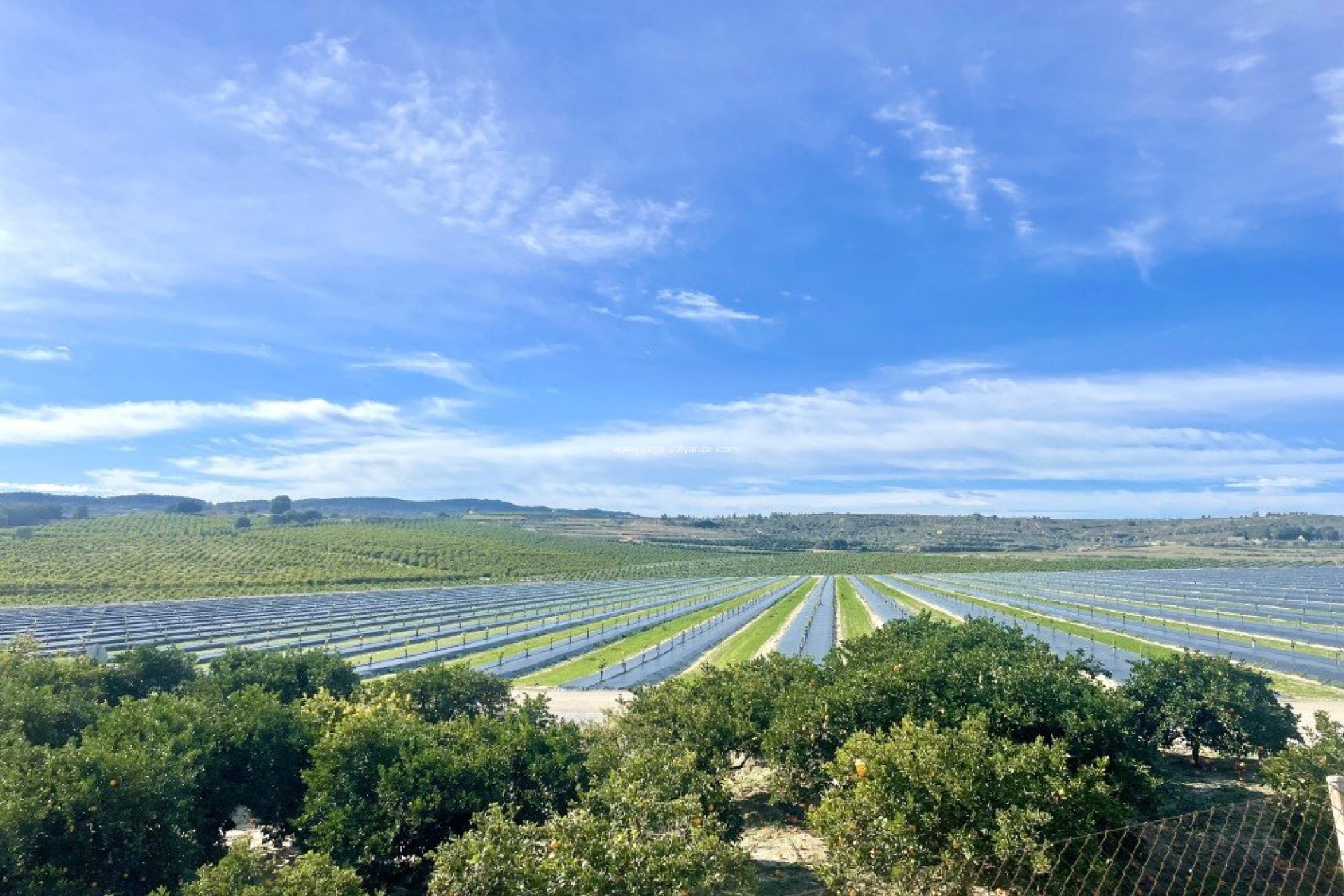 Reventa - Apartamento / piso - Orihuela Costa - Costa Blanca