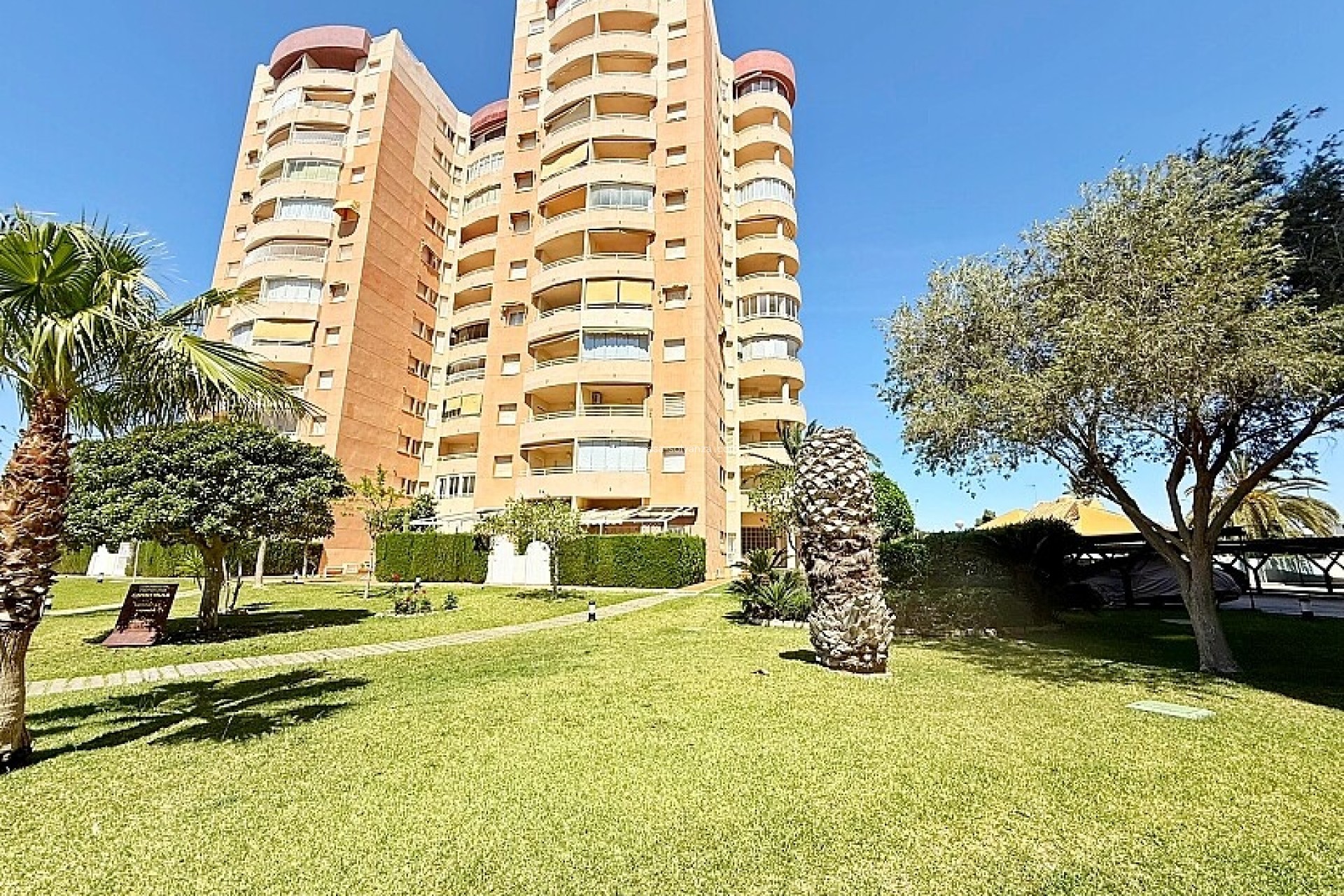 Reventa - Apartamento / piso - Orihuela Costa - Dehesa De Campoamor