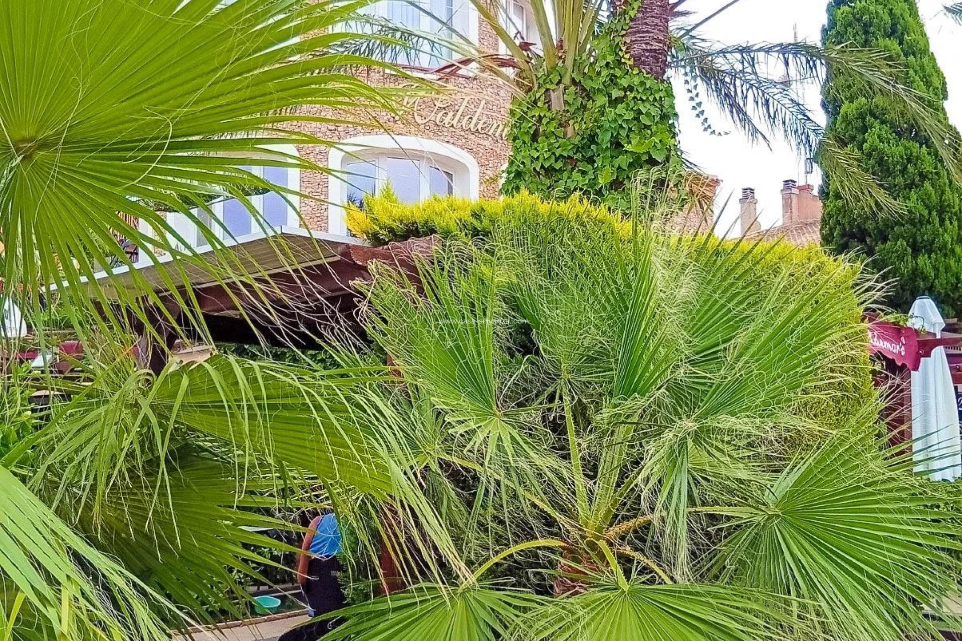 Reventa - Apartamento / piso - Orihuela Costa - La Florida