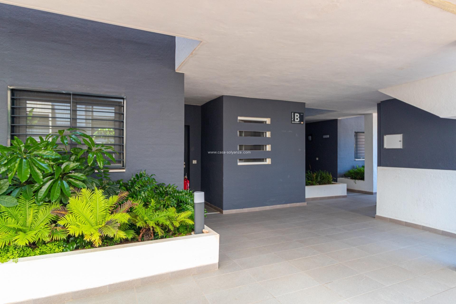 Reventa - Apartamento / piso - Orihuela Costa - Playa Flamenca