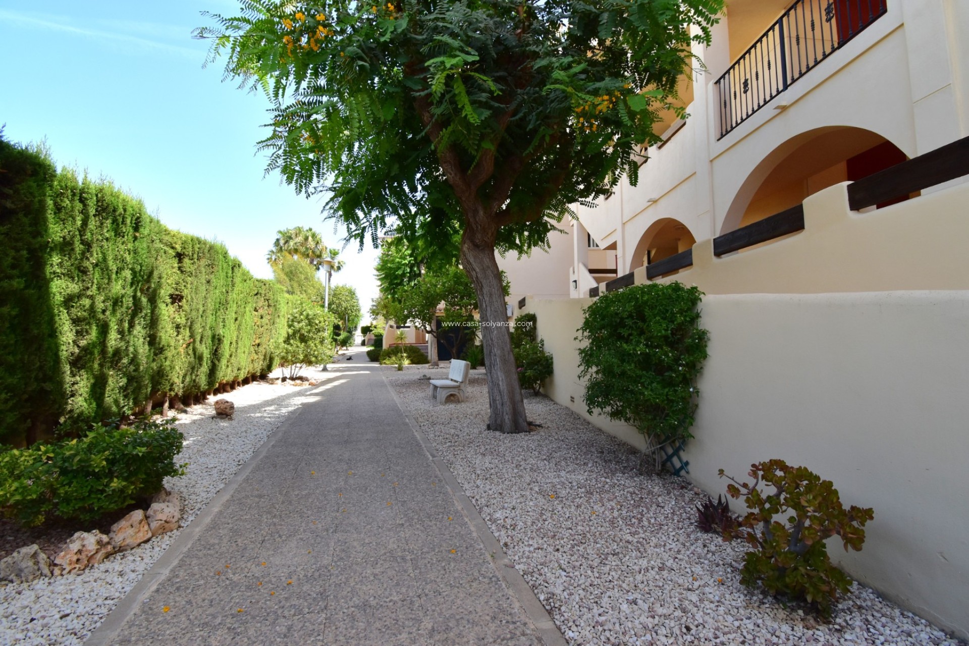 Reventa - Apartamento / piso - Orihuela Costa - Playa Flamenca