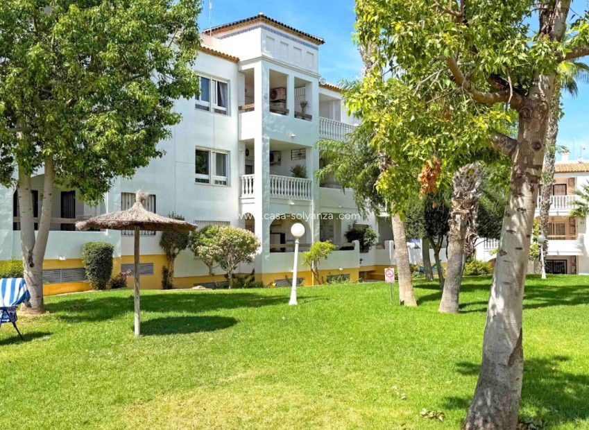 Reventa - Apartamento / piso - Orihuela Costa - Villamartín