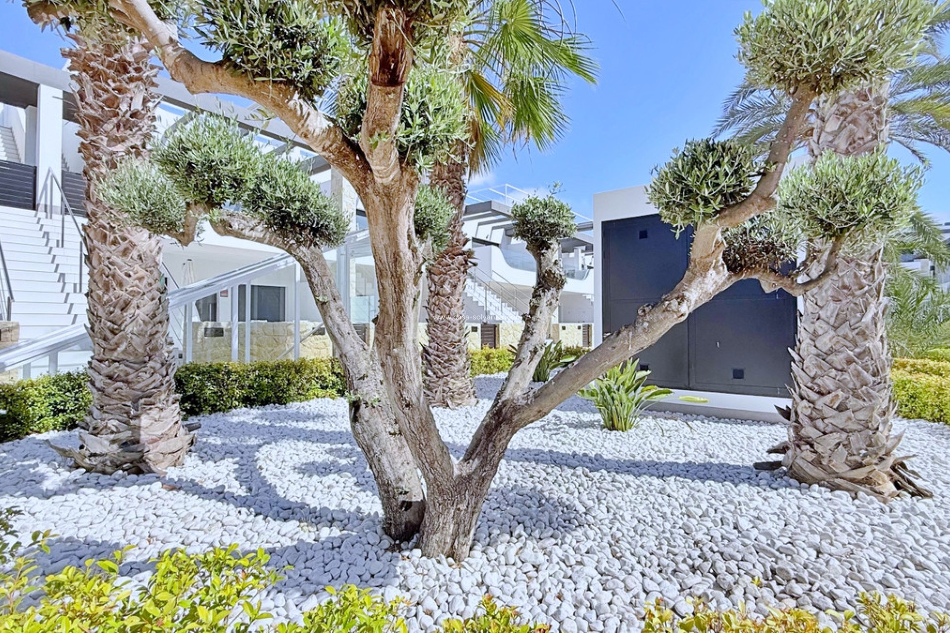 Reventa - Apartamento / piso - Orihuela - Punta Prima