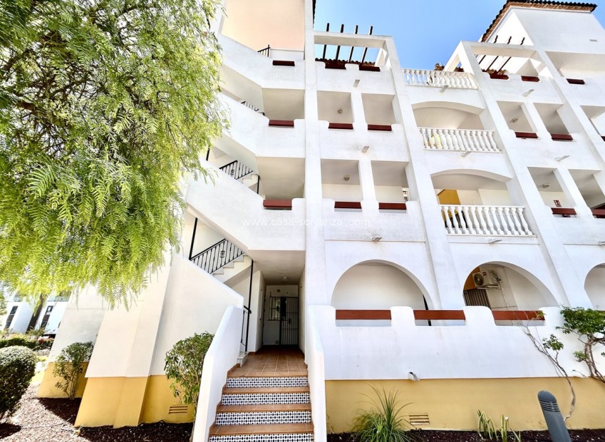Reventa - Apartamento / piso - Orihuela - Villamartin
