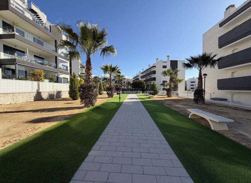 Reventa - Apartamento / piso - Orihuela - Villamartin