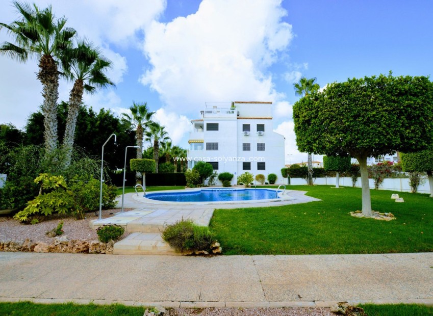 Reventa - Apartamento / piso - Orihuela - Villamartin