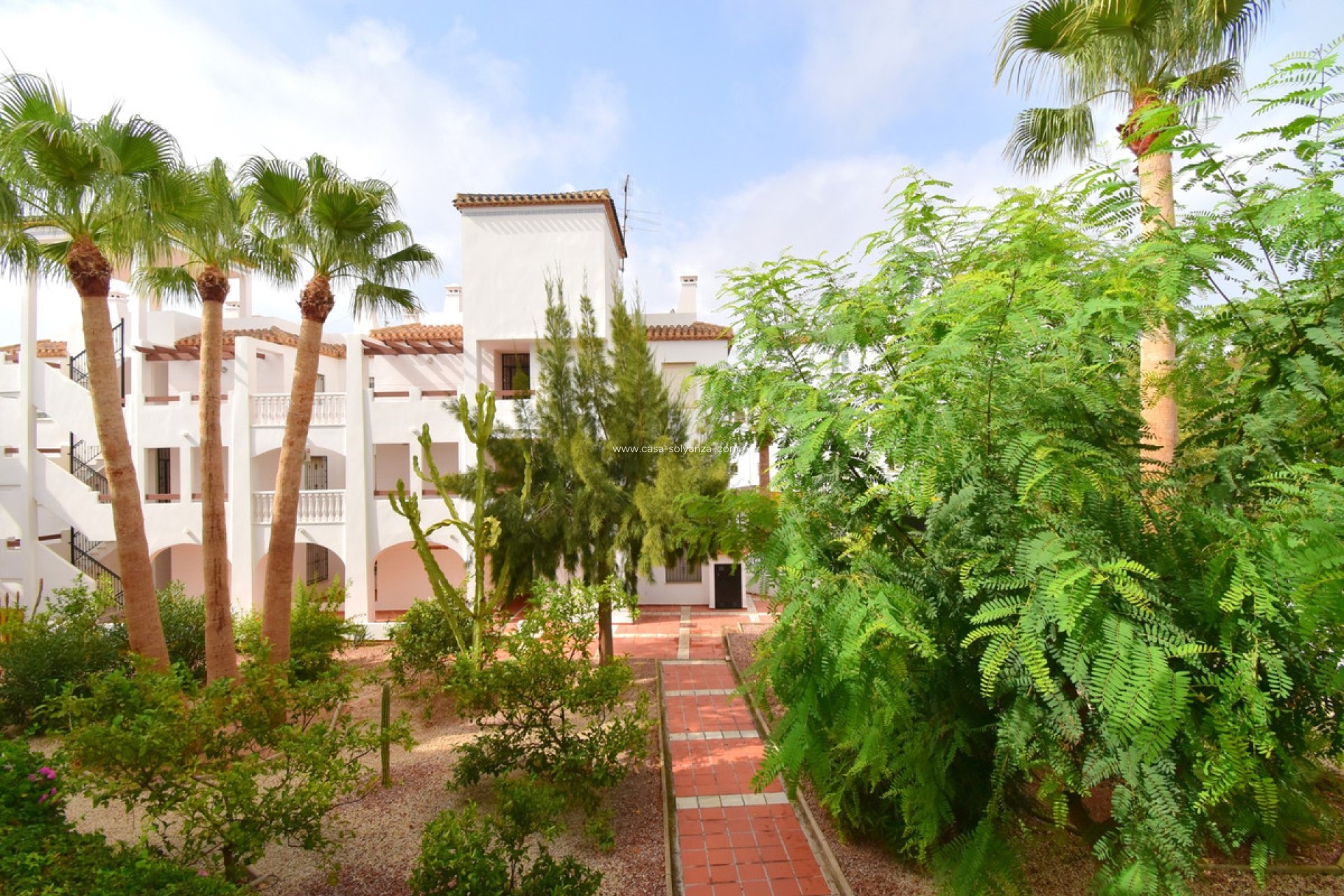 Reventa - Apartamento / piso - Orihuela - Villamartin