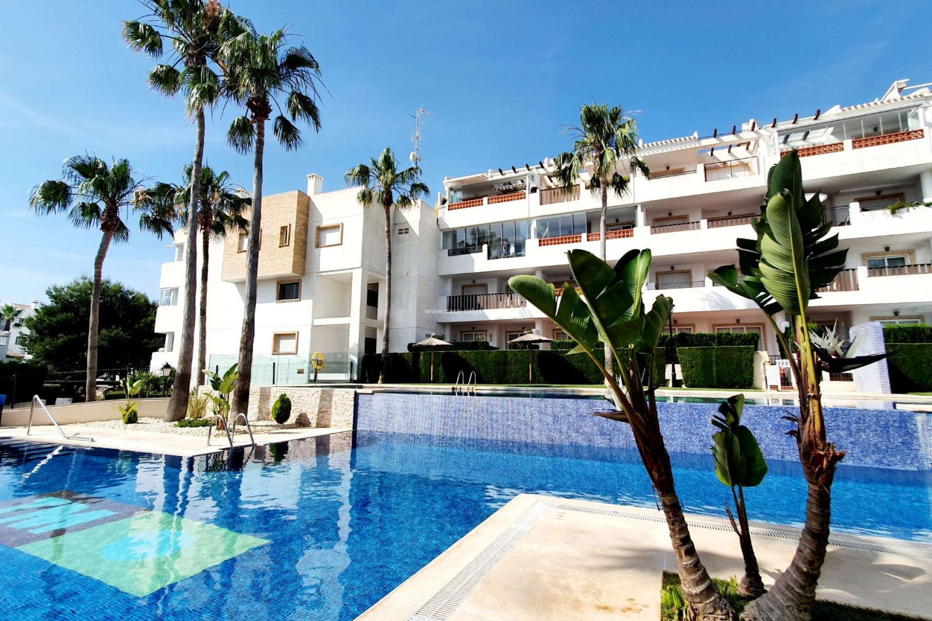 Reventa - Apartamento / piso - Orihuela - Villamartin