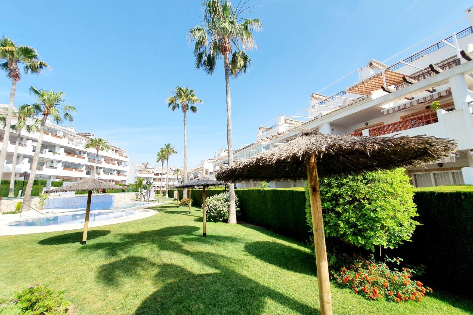 Reventa - Apartamento / piso - Orihuela - Villamartin