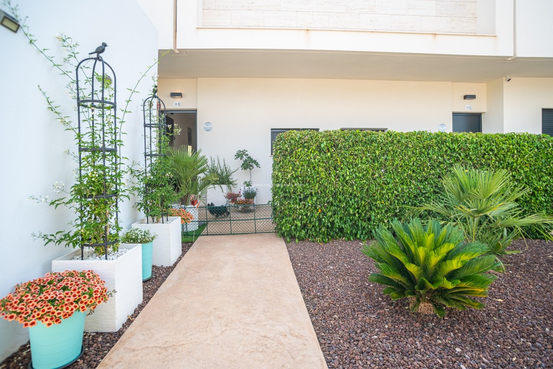 Reventa - Apartamento / piso - Pilar de la Horadada - Costa Blanca