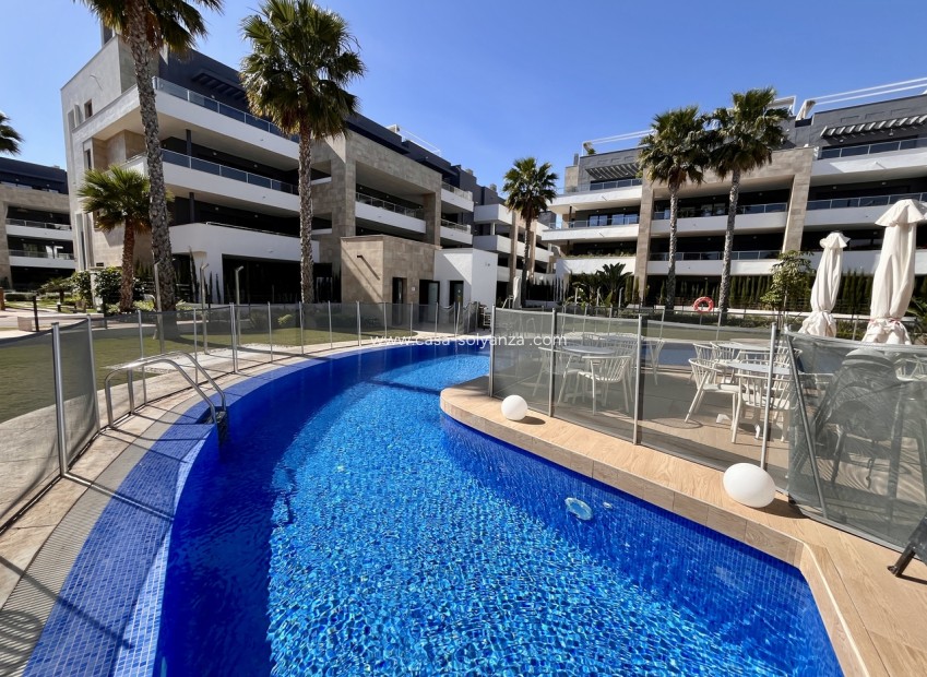 Reventa - Apartamento / piso - Playa Flamenca - Costa Blanca