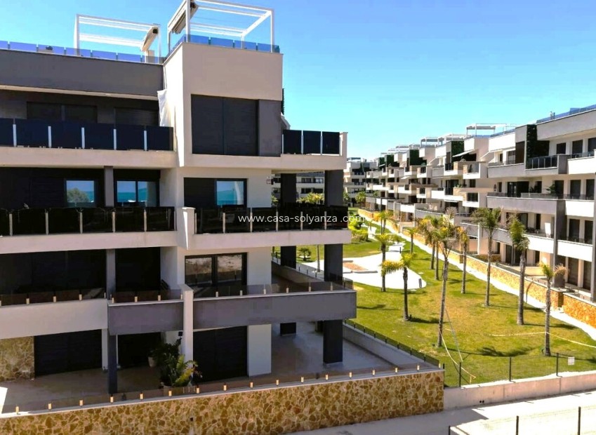 Reventa - Apartamento / piso - Playa Flamenca - Costa Blanca