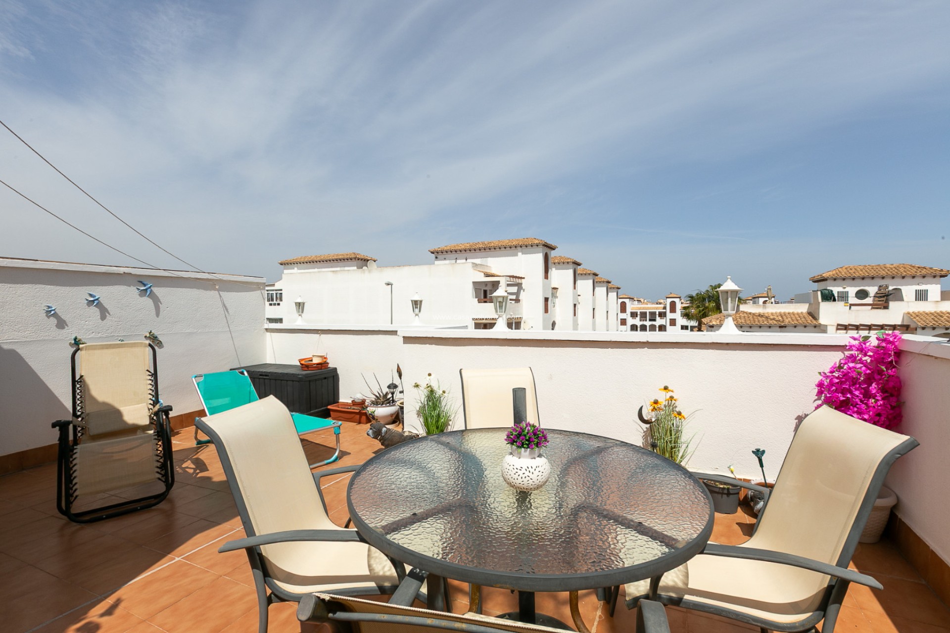 Reventa - Apartamento / piso - Playa Flamenca - Zenia Mar
