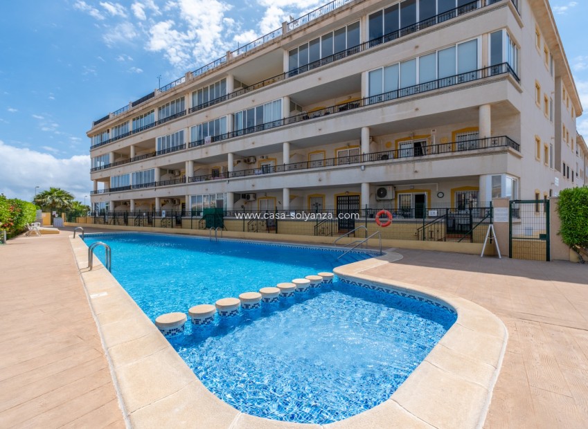 Reventa - Apartamento / piso - Playa Flamenca