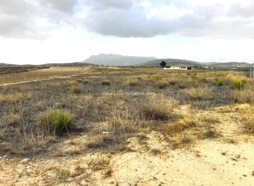 Reventa - Apartamento / piso - Torre del Rico